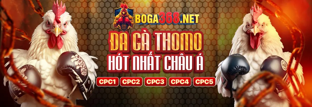 Các ưu điểm vượt trội khi chọn hi79 link mới để cá cược trực tuyến